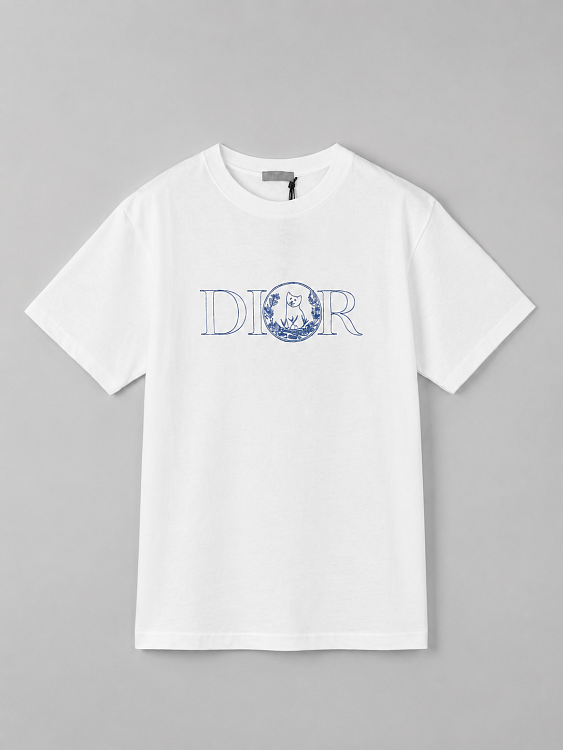 Мужская футболка Dior x Hylton Nel белая c вышивкой из хлопка Dior