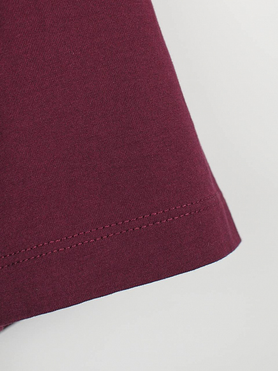Мужская футболка Brunello Cucinelli бургунди, хлопок Brunello Cucinelli фото 6